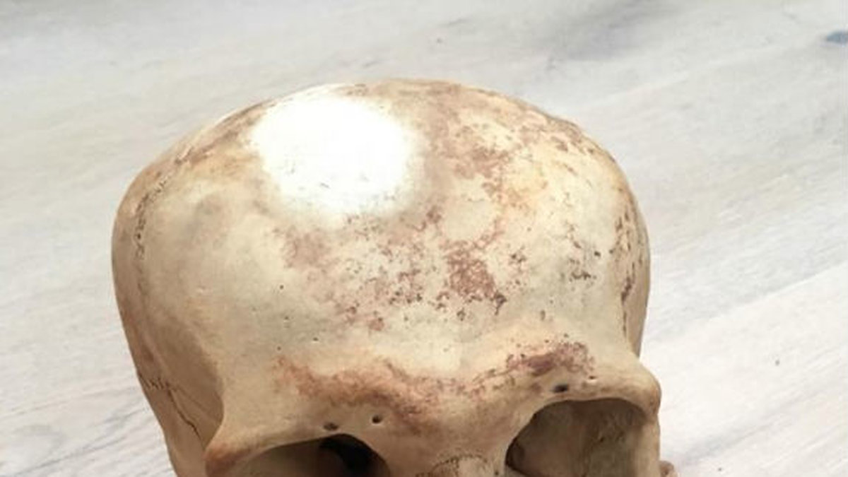 Det kranium som Sofia hittade är förmodligen väldigt gammalt, med tanke på kraniets form.