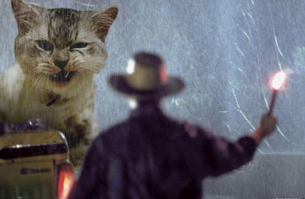 Katter är betydligt mer badass än dinosaurier. Katter är betydligt mer badass än dinosaurier.