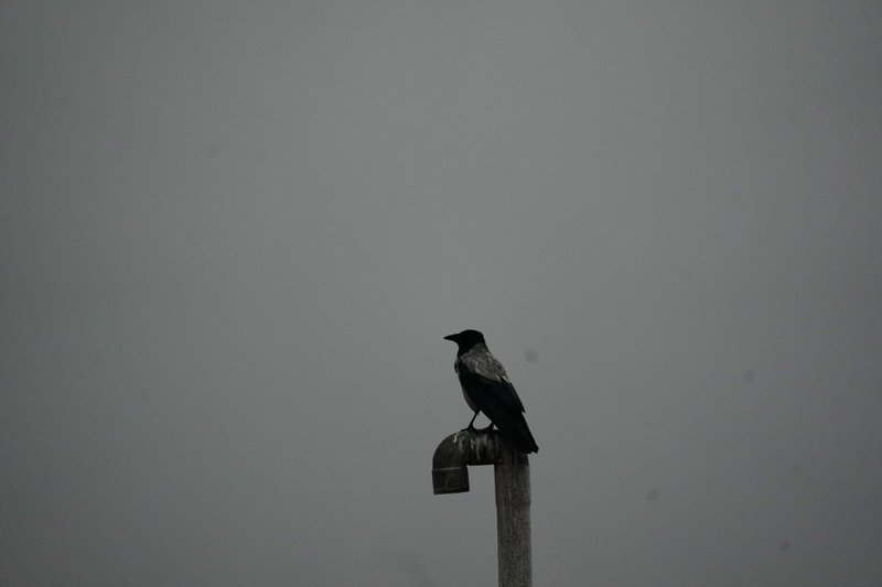 Teheranborna vaknade till en mörk himmel på söndagen. 
