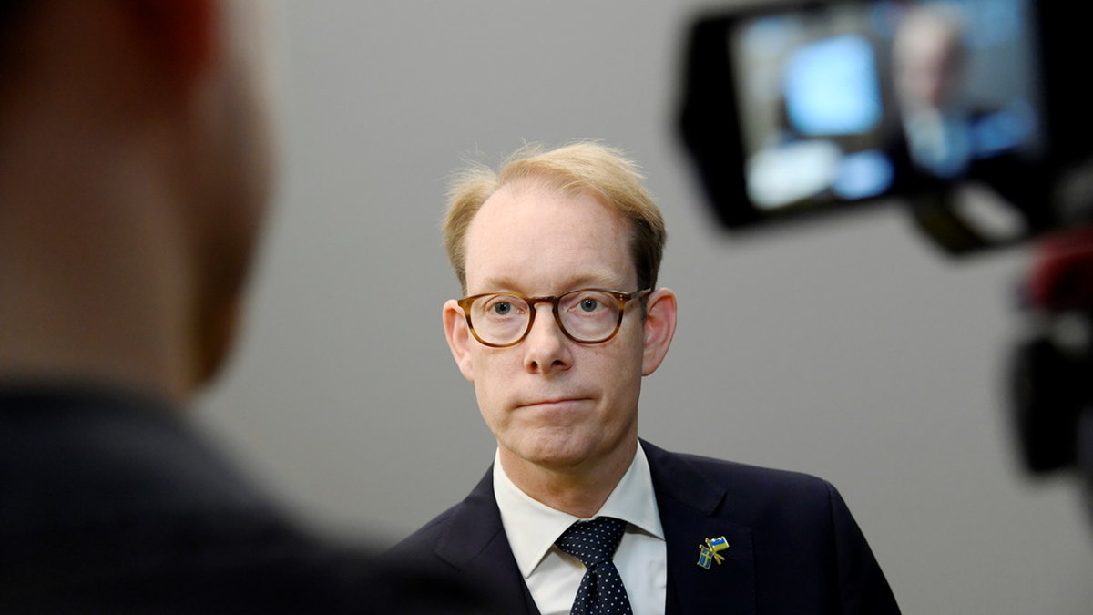 Utrikesminister Tobias Billström (M) pekar på avtalet som Socialdemokraterna slöt med Amineh Kakabaveh som en försvårande omständighet.