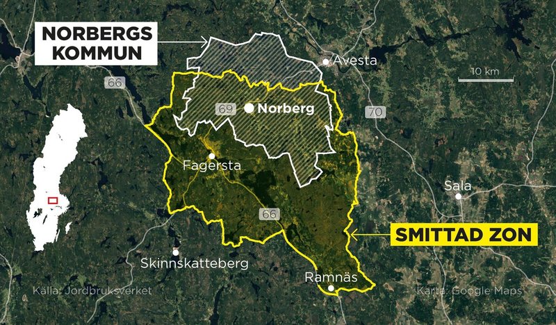 Norbergs kommun i förhållande till området där Jordbruksverket har infört restriktioner efter fynden av afrikansk svinpest.