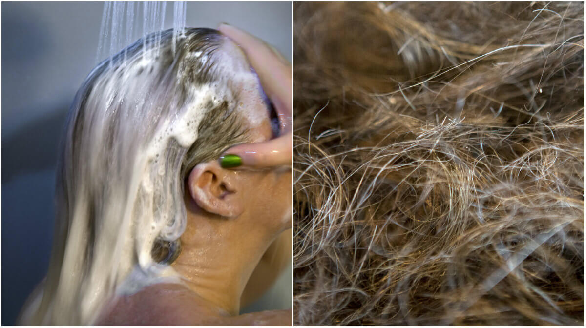Vad händer med håret om du inte använder schampoo på sex år?