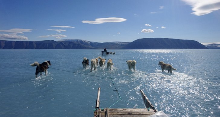 Klimathotet, Grönland