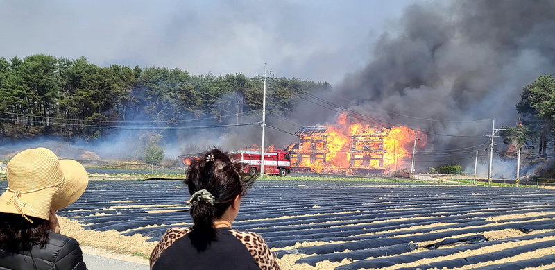 Gangneung-bor följer ett släckningsarbete under tisdagen.