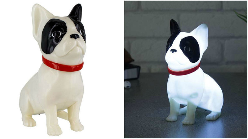 Fransk bulldogg lampa