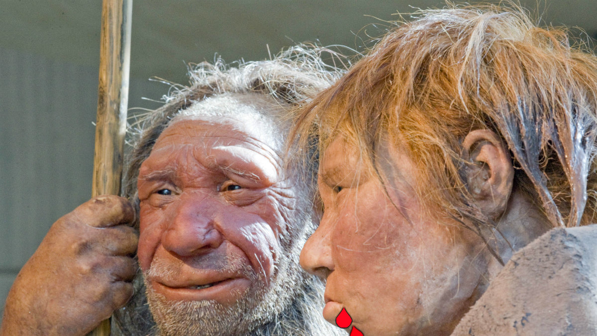 Det verkar som att neandertalarna var lite mer blodtörstiga än vad vi tidigare trott