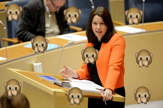Åsa Romson, Partiledardebatt, Miljöpartiet