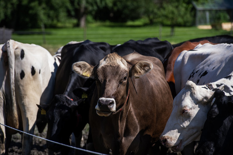 Genrebild. Foto: Anna Hållams /TT