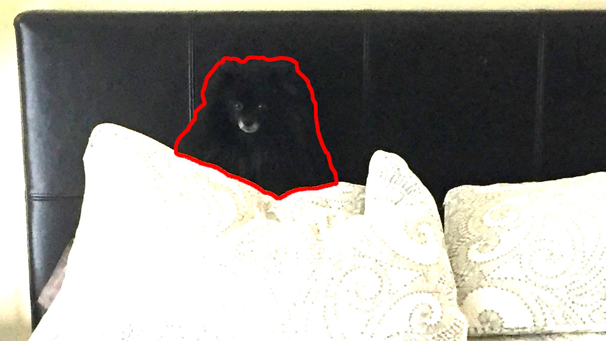Se där, den gömde sig mot den svarta sänggaveln. 