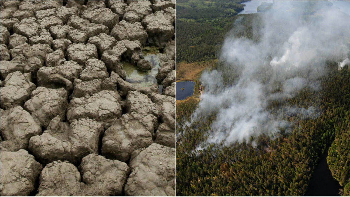 Extremvädret i Sverige fortsätter - torka orsakar vattenbrist och i flera delar av landet varnar för brandrisk.