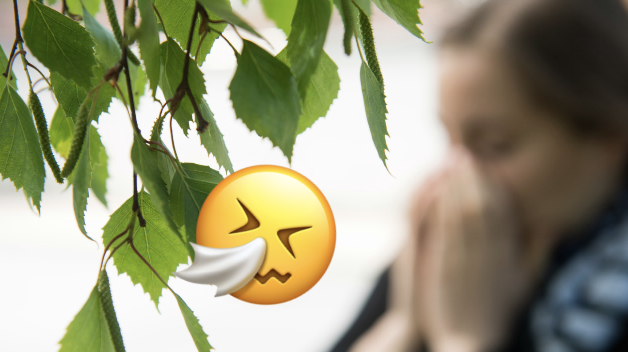 pollenallergi på engelska pollenallergi på engelska