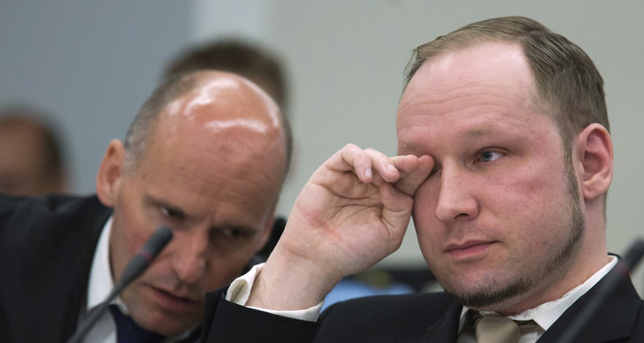 Avslut, Anders Behring Breivik, Strejk