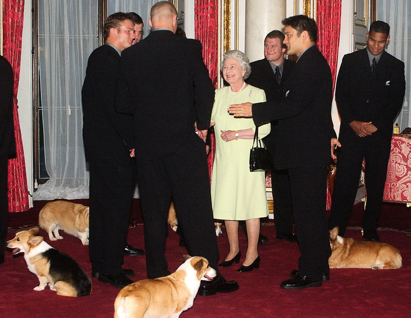 Drottning Elizabeth tar emot det nyzeeländska rugbylandslaget All Blacks år 2003 – och drottningens corgis var naturligtvis med vid tillfället. Arkivbild.