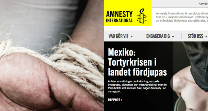 Krig, Mexiko, Tortyr, Amnesty