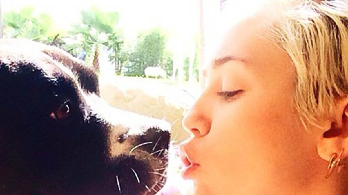 Miley pussar på sin hund.