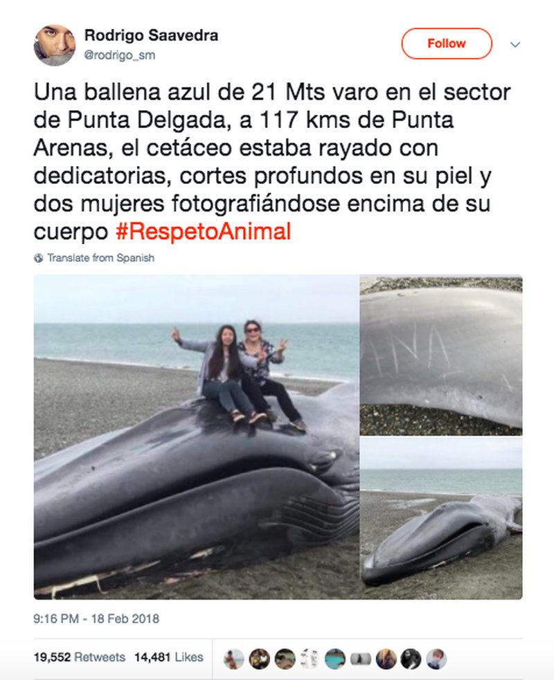 Rodrigo Saavedras bild som han postade på sociala medier. Rodrigo Saavedras bild som han postade på sociala medier.
