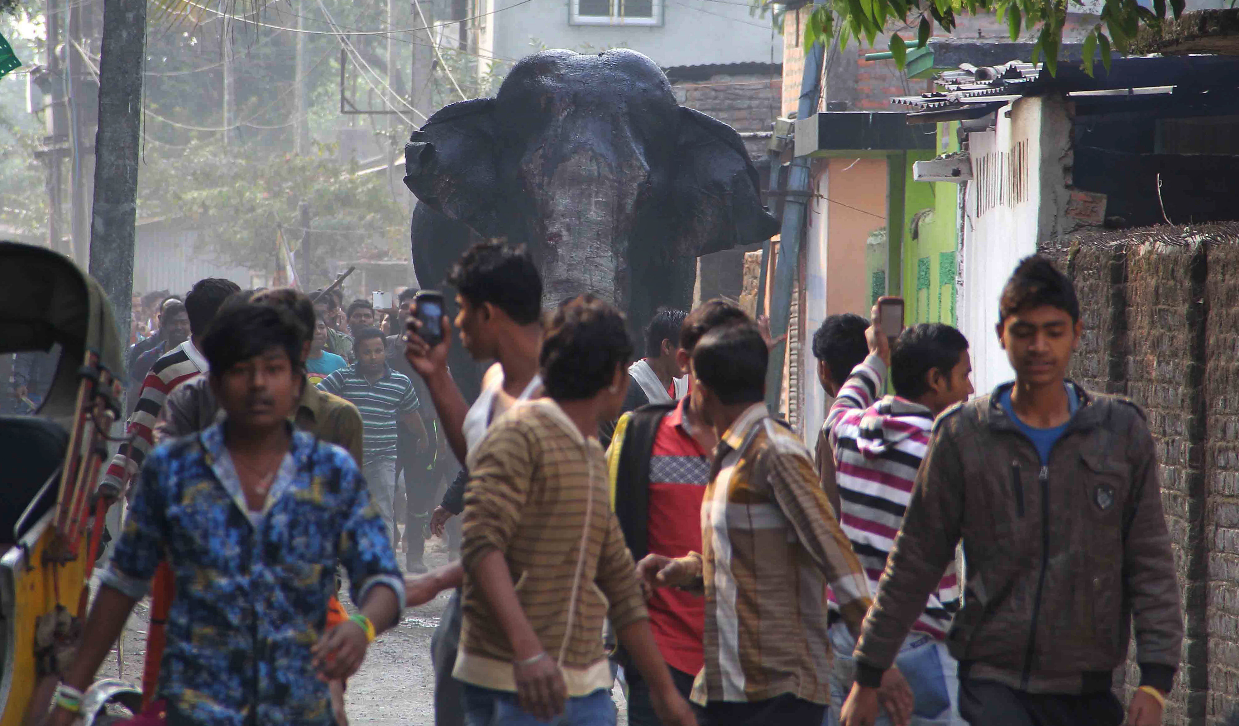Invånare kastade sten på elefanten.
