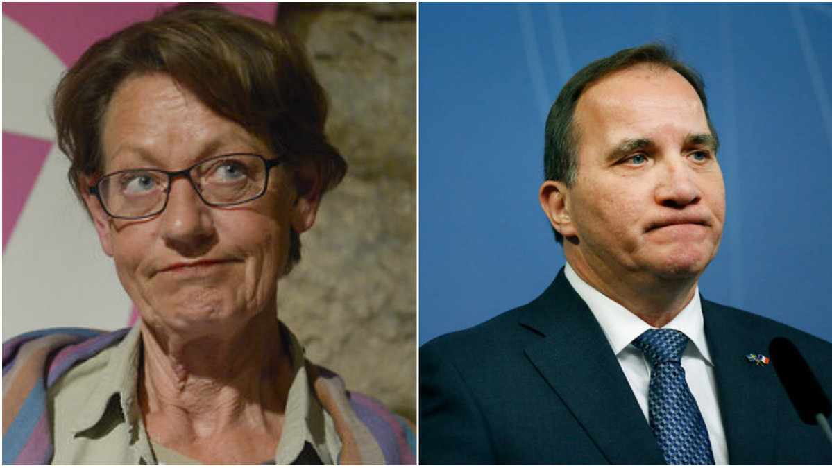 Feministiskt initiativs partiledare Gudrun Schyman är mycket kritisk mot regeringens nya lagförslag. 