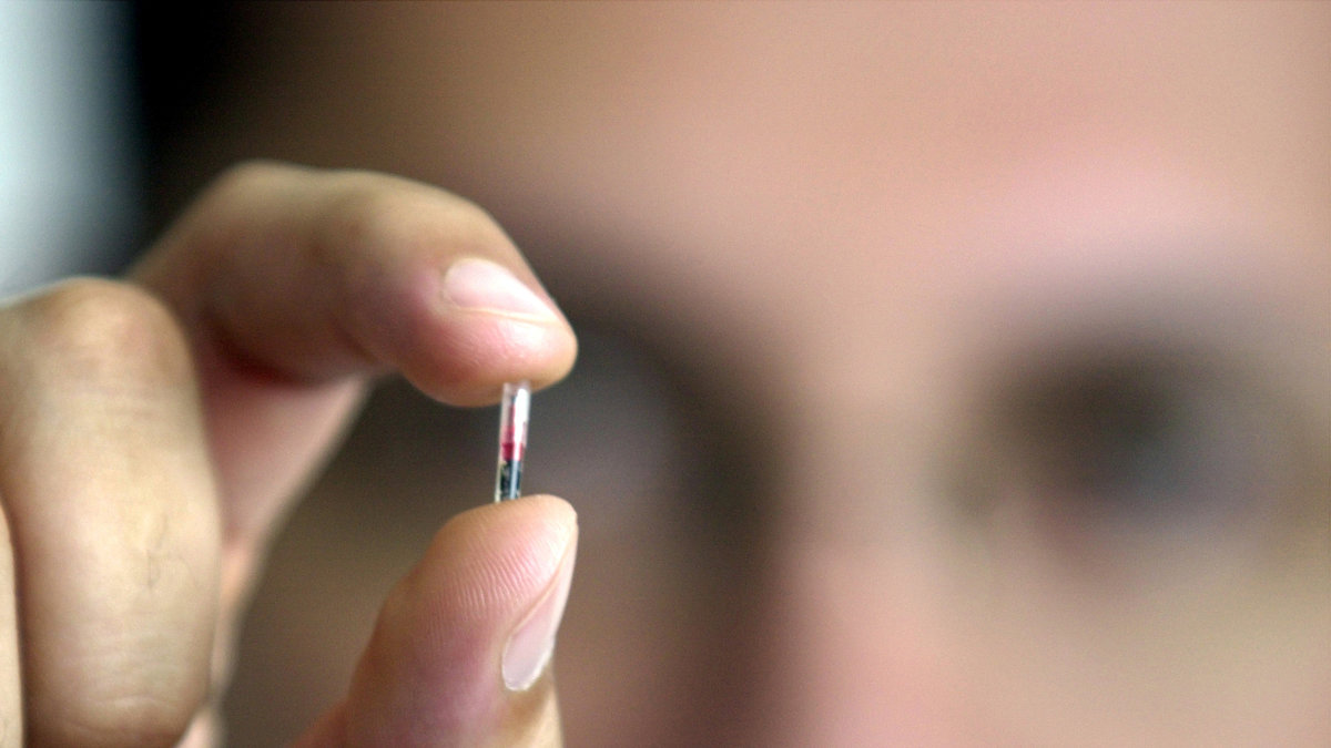 I Wisconsin är det olagligt att tvinga någon att operara in ett microchip.