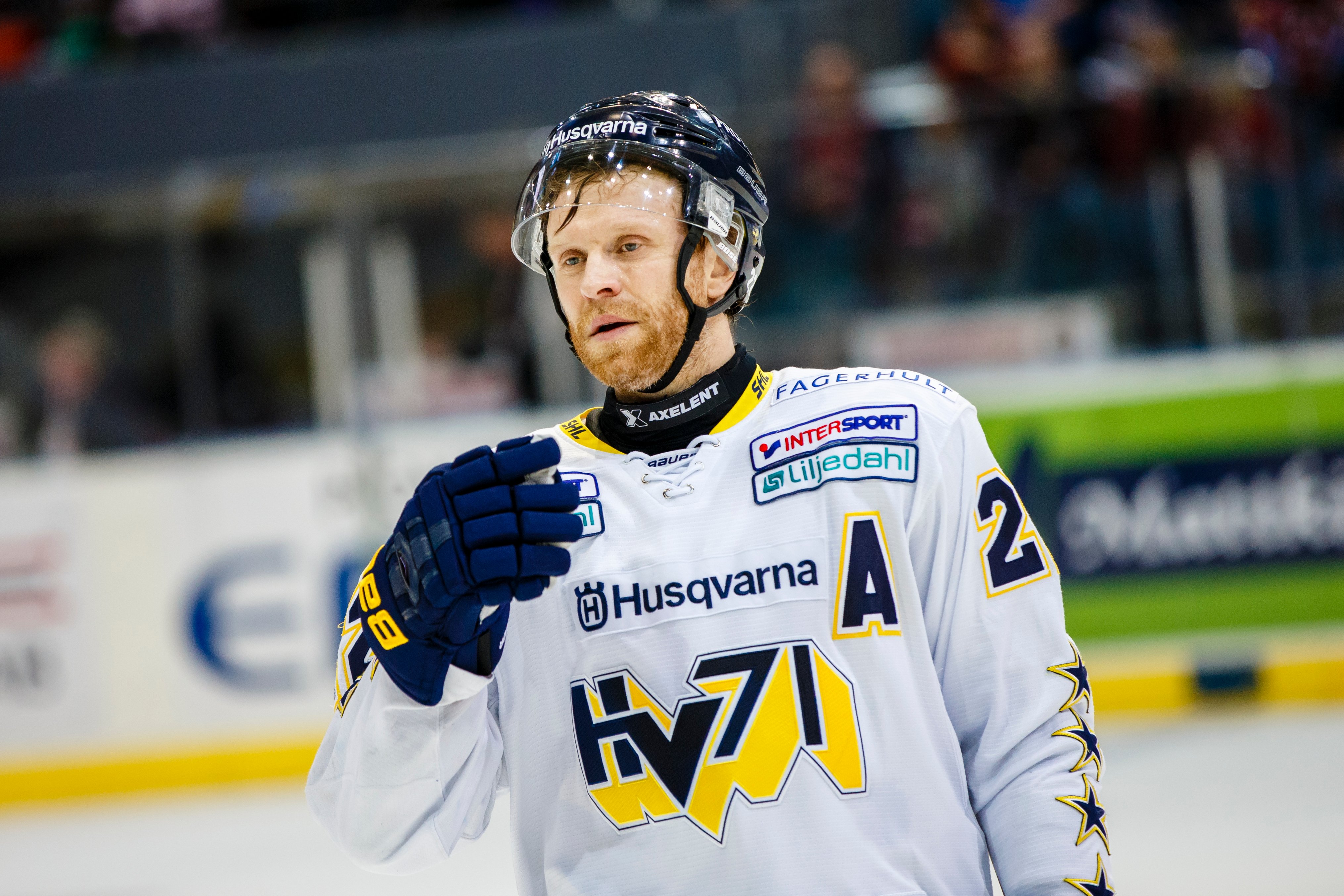 SHL, David Petrasek, HV71, elitserien, ishockey