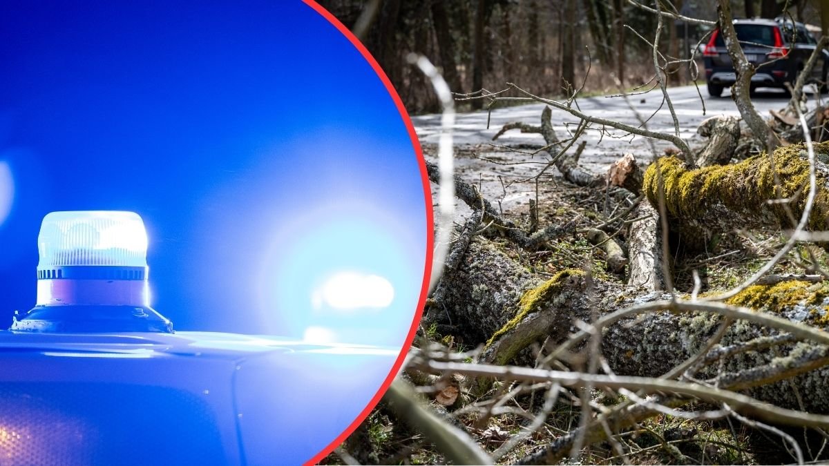 Två unga kvinnor och bebis dog under äggjakt i Tyskland