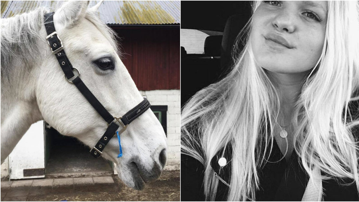 18-åriga Veras häst blev blind. Då kom hon på en smart lösning.