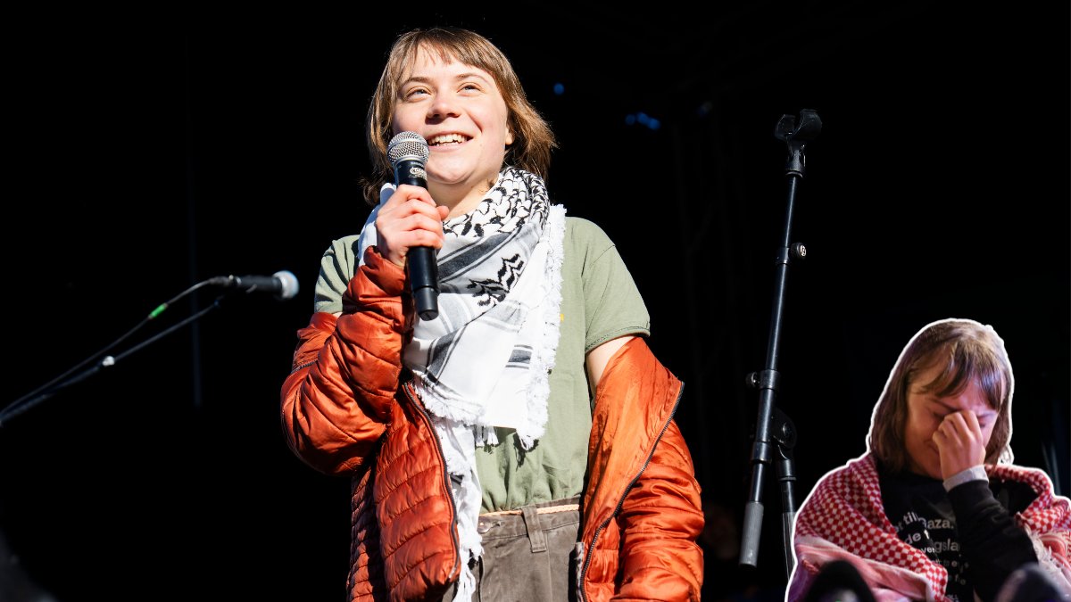 Därför fördes Greta Thunberg bort av polis