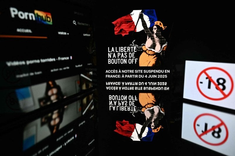 I Frankrike blockerade företaget Aylo, som bland annat står bakom Pornhub, tillfälligt franska användare från att komma in på deras hemsidor i protest mot en ny lag som krävde striktare ålderskontroller. Besökare möttes i stället av målningen "Friheten på barrikaderna" från 1830 och budskapet att lagen inskränker människors frihet. Enligt Aylo har man dagligen sju miljoner besökare i Frankrike på sina sajter. 