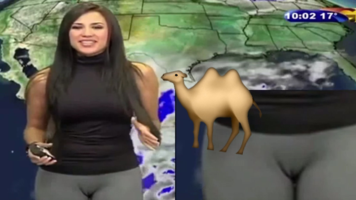 Den mexikanska väderpresentantören Susana Almeida råkade ha camel toe i direktsändning.