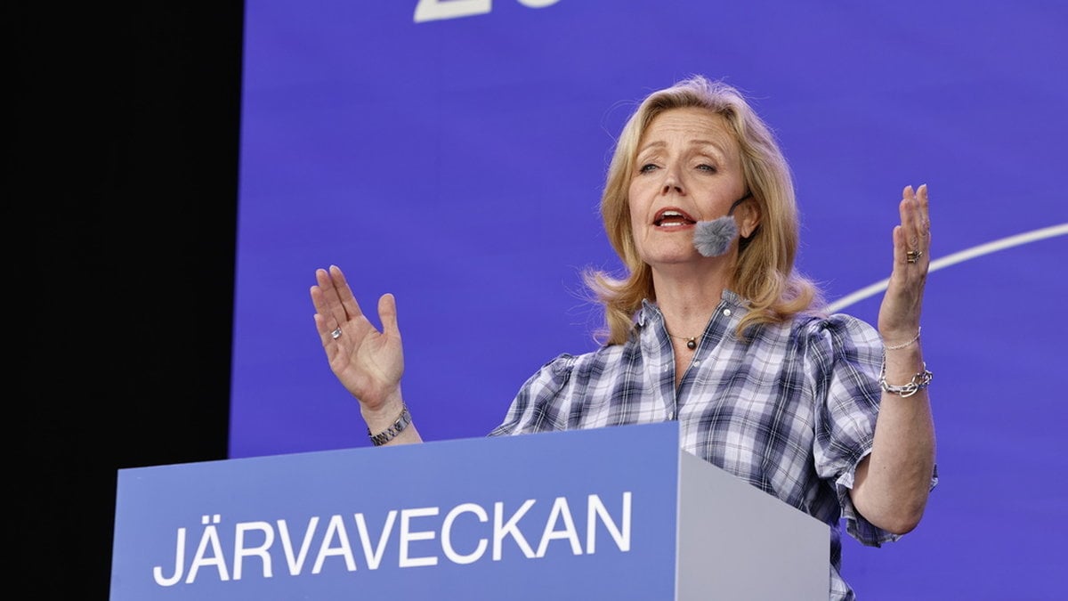 C-ledaren: Orealistiskt att stötta Kristersson