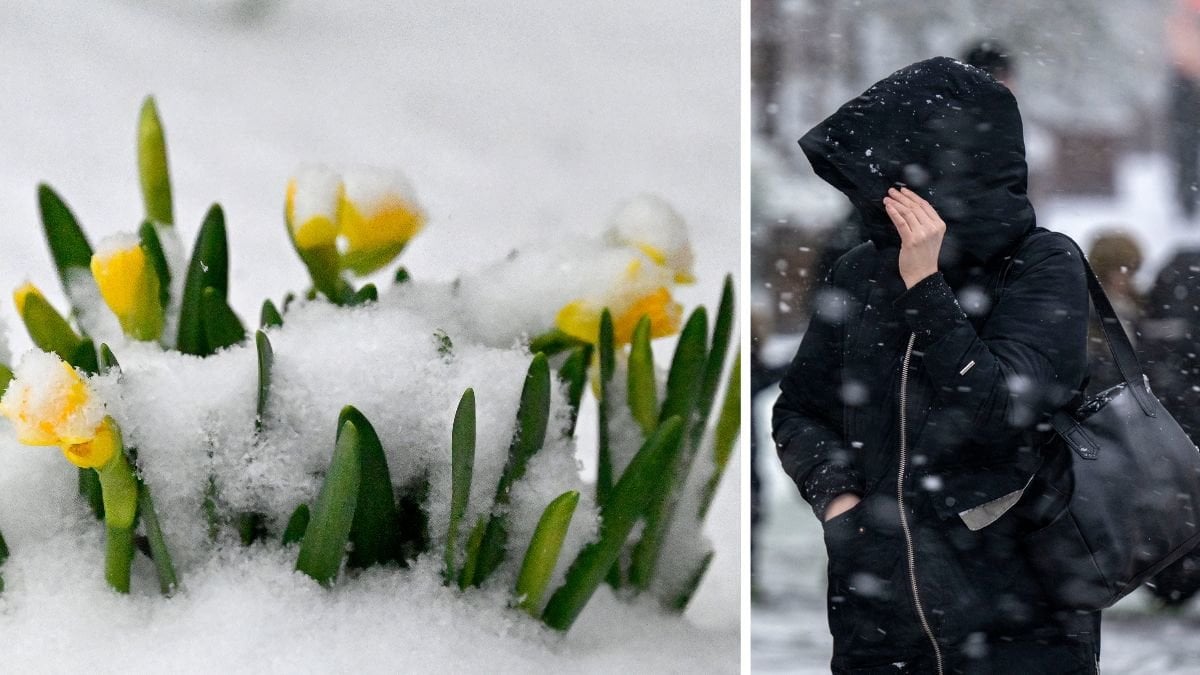 SMHI: Här kommer 10 centimeter snö i helgen