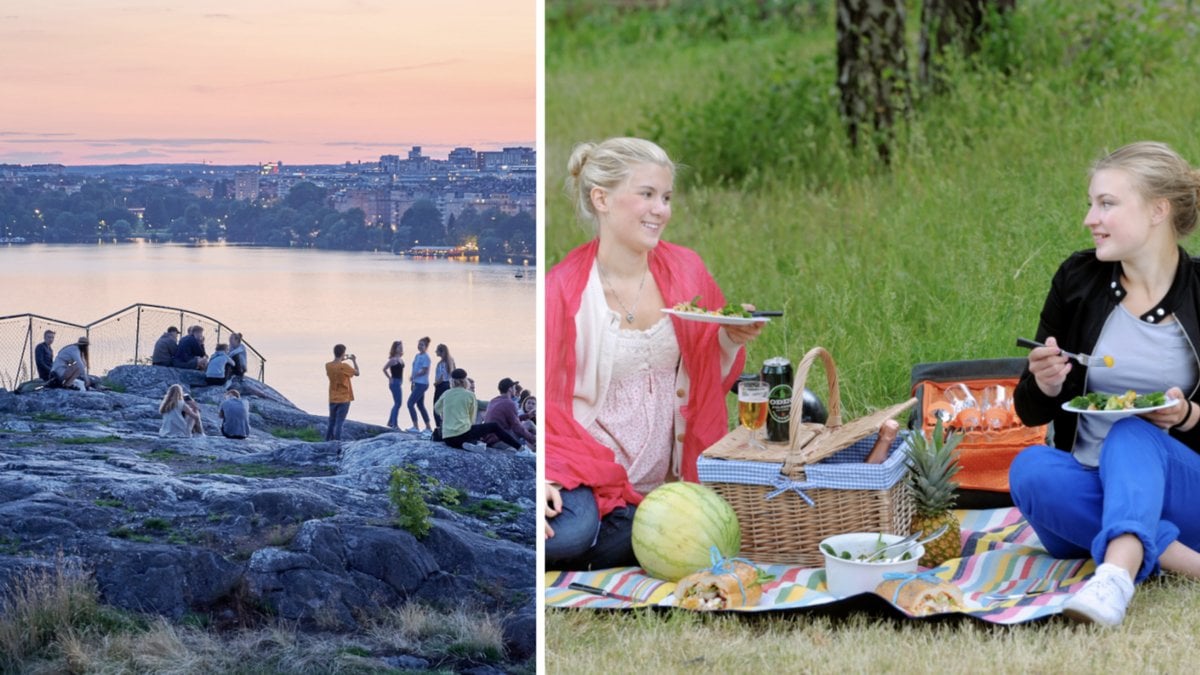 Är du ute efter ett mysigt picknickställe i Stockholm? Då har du hittat rätt!