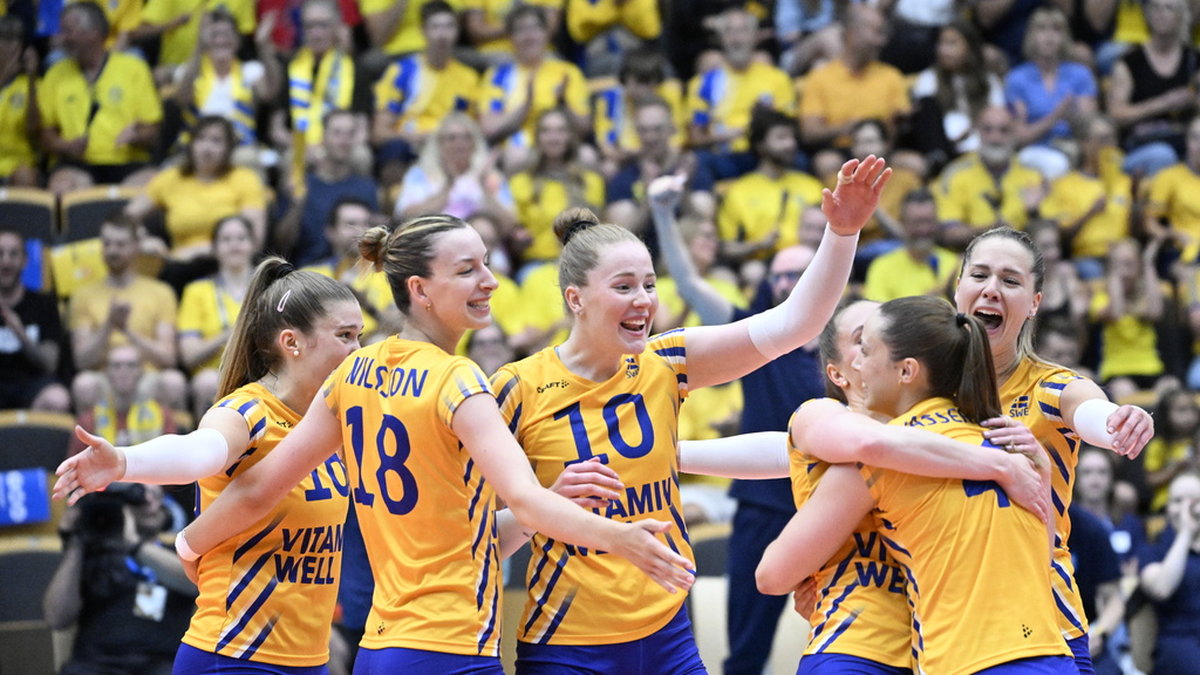 De svenska volleybolldamerna har gjort succé de senaste åren och spelar i veckan final i European Golden League, men landslaget kan inte räkna med något SOK-stöd i närtid. Arkivbild.