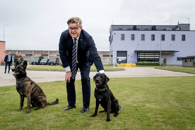 Fototillfälle med två narkotikahundar.