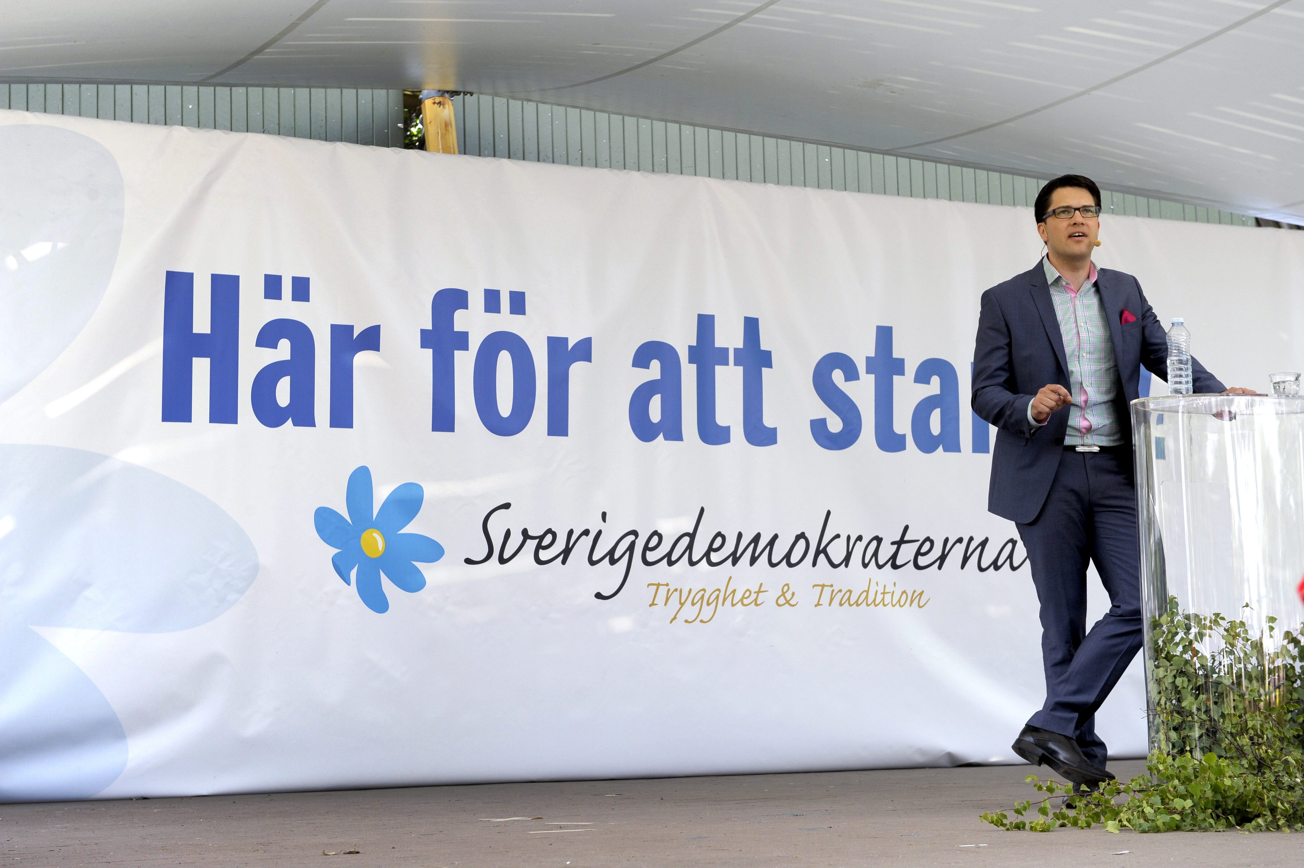 Sverigedemokraterna varnade Anders Leander för hans rasitiska blogginlägg. Här syns partiledaren Jimmie Åkesson.