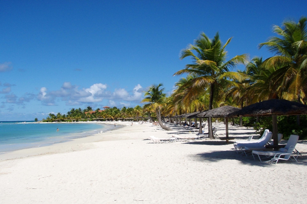 33. Karibiens magiska övärld verkar ha skapat ett härligt klimat för besökare.