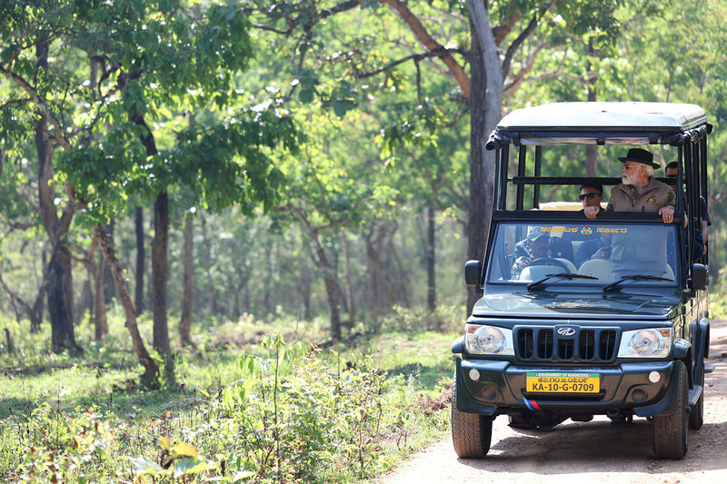 Indiens premiärminister Narendra Modi besöker Bandipurs tigerreservat under söndagen.