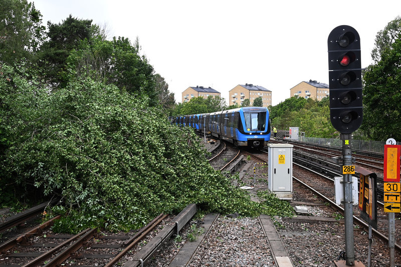 Ett träd har blåst ner på tunnelbanespåren vid Skärmarbrink i södra Stockholm och orsakat stopp i tunnelbanetrafiken.