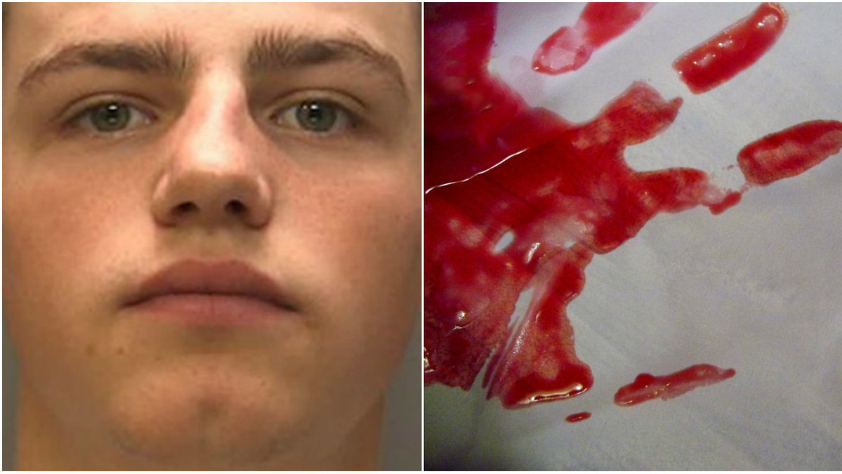 18-åringen erkände brottet efter att polisen funnit spår av blod på hans kläder. 