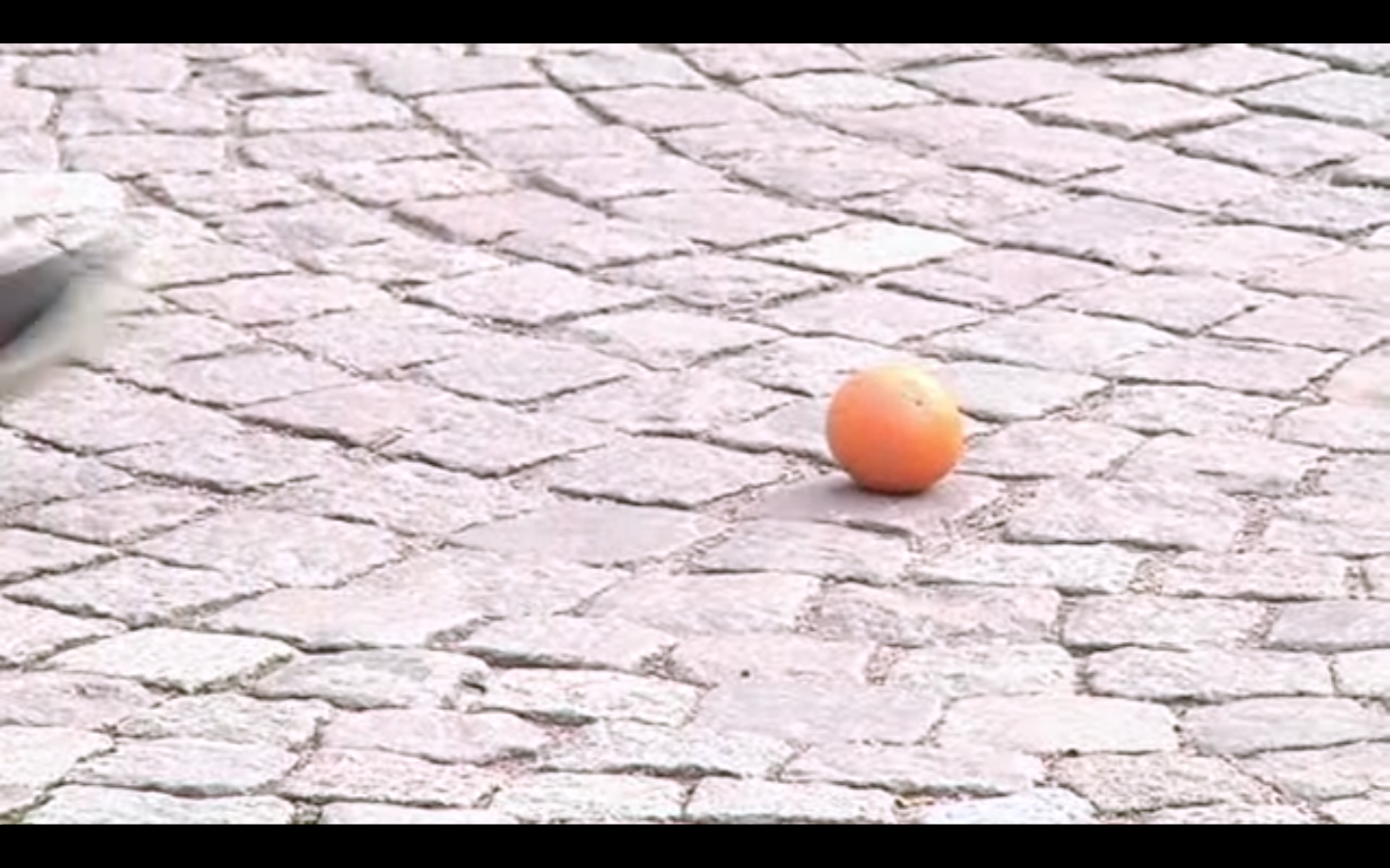 En av apelsinerna som missade Åkesson.