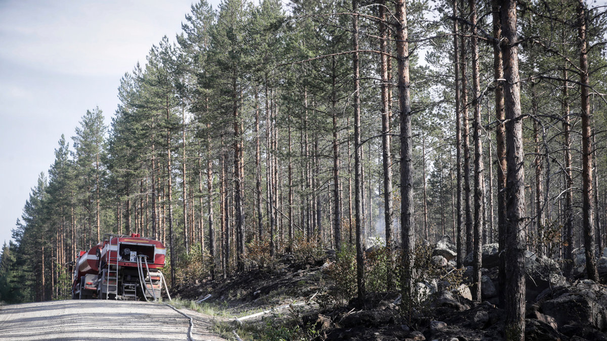 Branden startade längs järnvägsspåret norr om Tallåsen i Ljusdals kommun i onsdags eftermiddag. Bilden är tagen i torsdags.