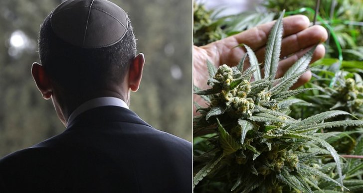Marijuana, Cannabis, Rabbin