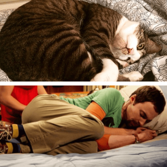 Sheldon från "The big bang theory". Sheldon från "The big bang theory".