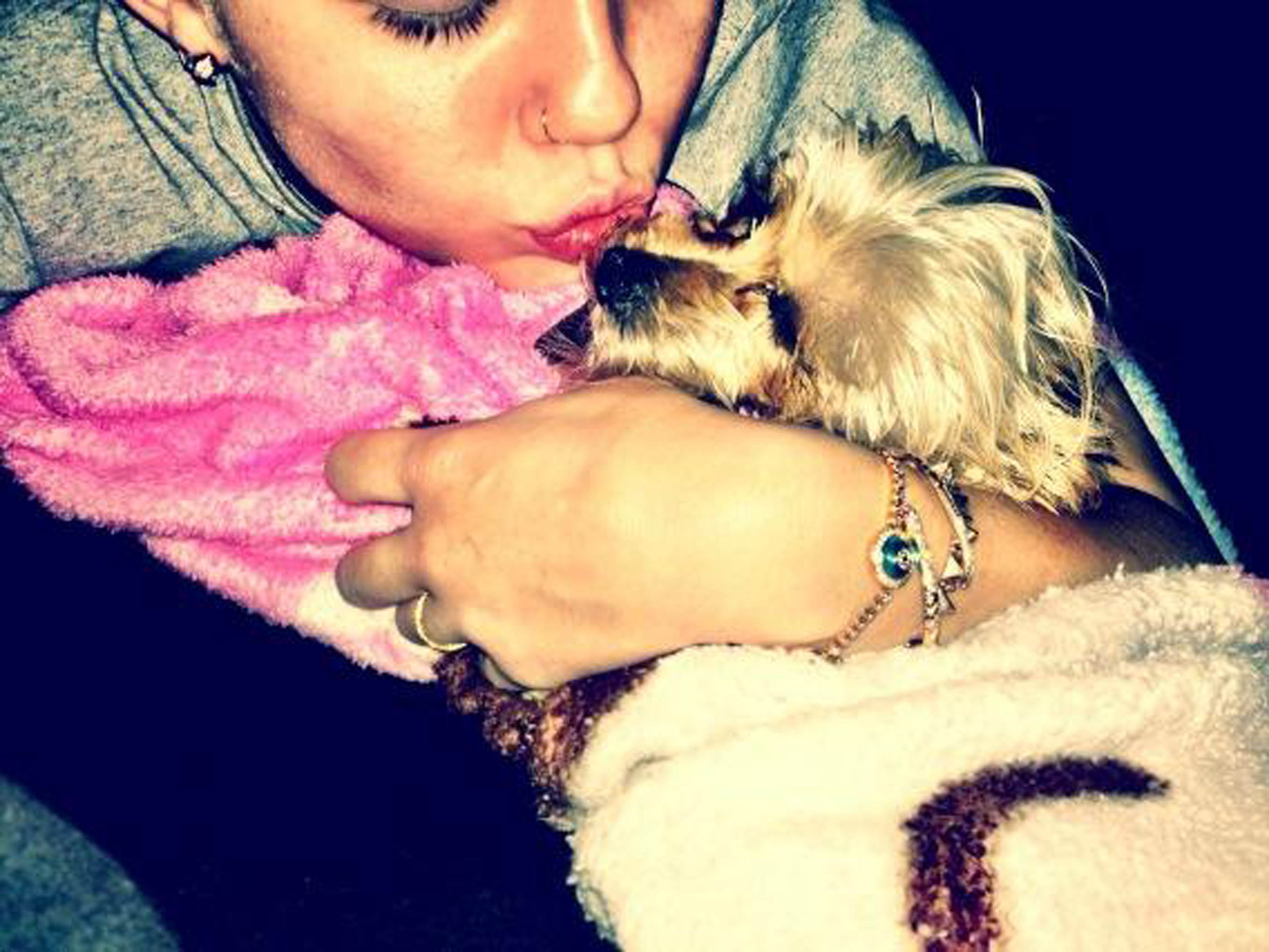 Miley Cyrus pussas med vovven. Miley Cyrus pussas med vovven.