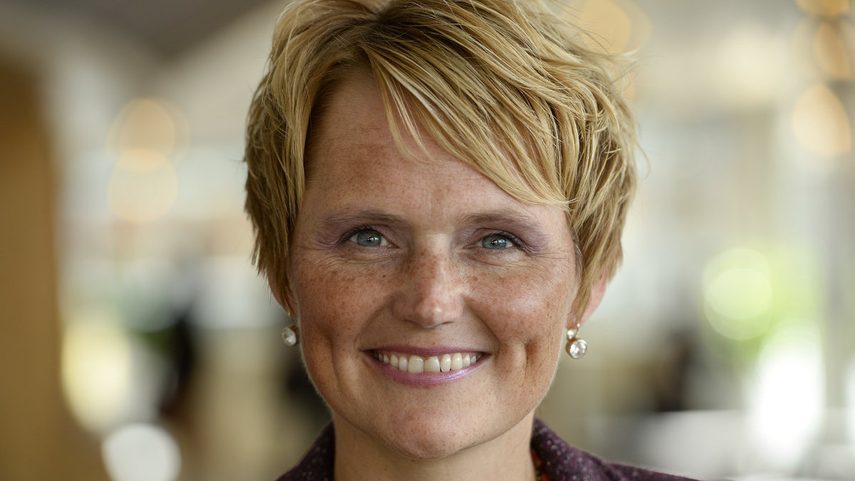 Anna-Karin Hatt (C), it- och energiminister: 1 570 800 kronor.
