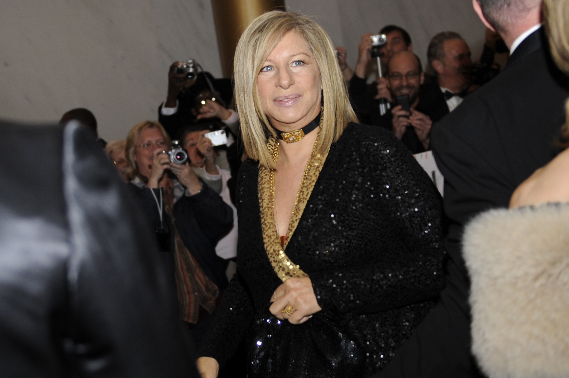 Wikileaks glider på Barbra Streisand-effekten.