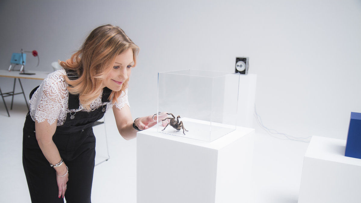 Vanja Wikström testar att lindra sin rädsla för spindlar med hjälp av VR.