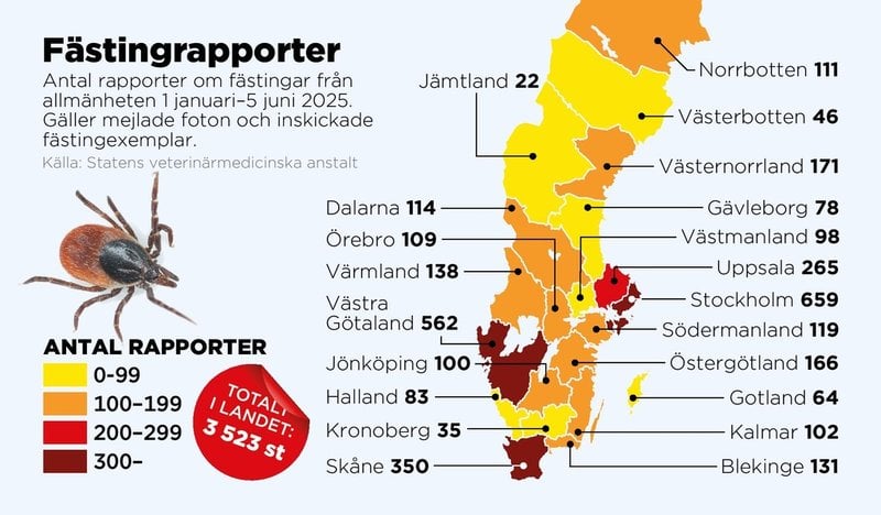 Antal rapporter om fästingar från allmänheten 1 januari–5 juni 2025. Gäller mejlade foton och inskickade fästingexemplar.