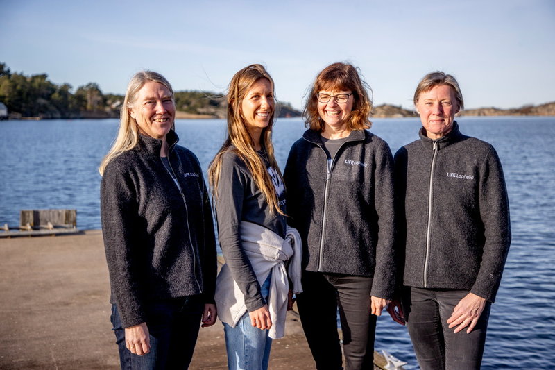 Ann Larsson, Iga-Maria Nestorowicz, Anita Tullrot och Susanna Strömberg utgör teamet bakom projektet Life Lophelia.