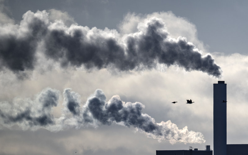 Foto: Johan Nilsson/TT